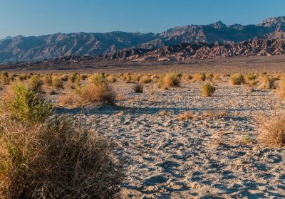 Grapevine Mountains