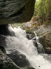 Parque National Los Quetzales