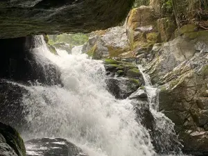 Parque National Los Quetzales