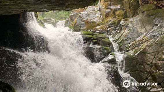 Parque National Los Quetzales