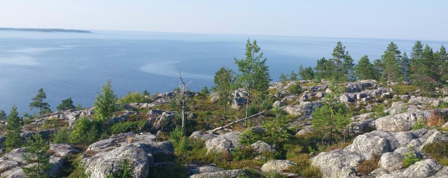 Bjuröklubb