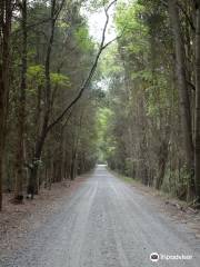 Cowans Ford Wildlife Refuge