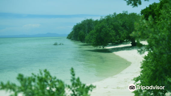 Kassa Island