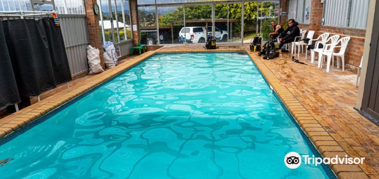 แนะนำการเดินทาง Gordons Bay 2024 สิ่งที่ควรทำ, อาหารที่ควรรับประทาน