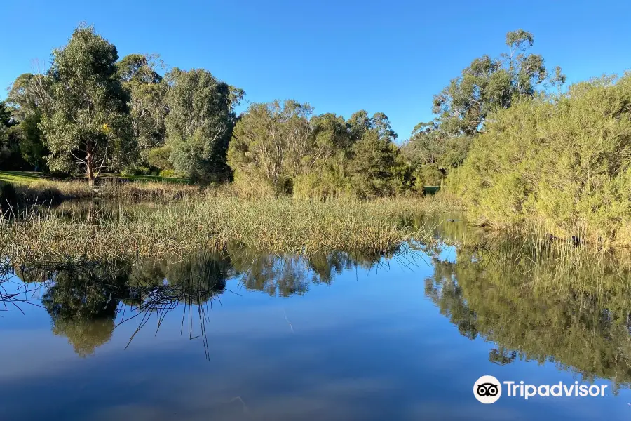 Elizabeth Bridge Reserve