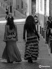 Flamenco Route Madrid