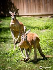 Catoctin Wildlife Preserve and Zoo