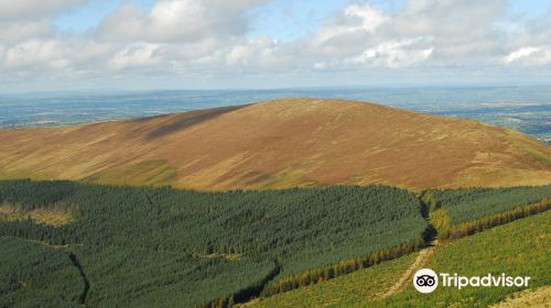 Mount Leinster