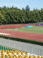 Municipal Stadium Sletiště