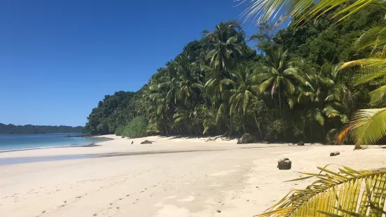 Watching Dolphin - Snorkelling, Fishing and Wildlife watching