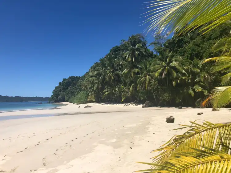 Soná