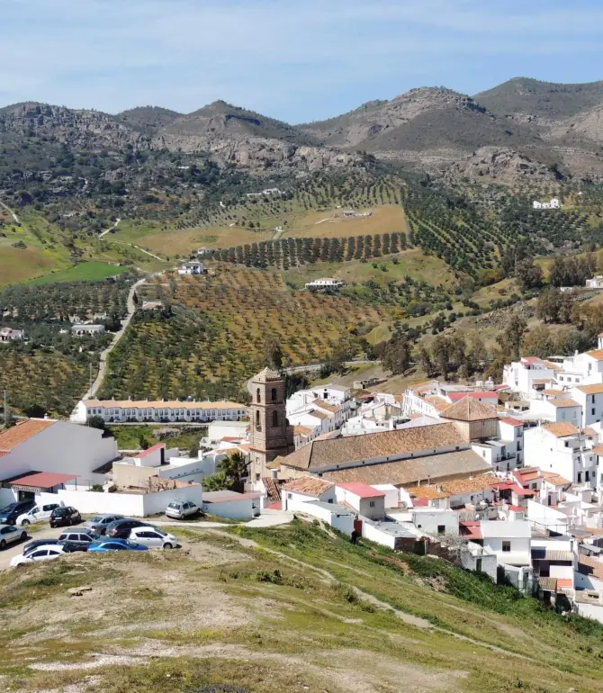 Alora