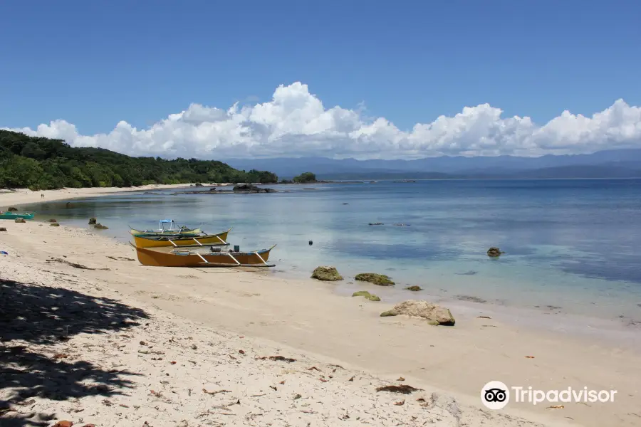 Dicotcotan Beach