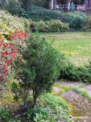 Municipal Garden