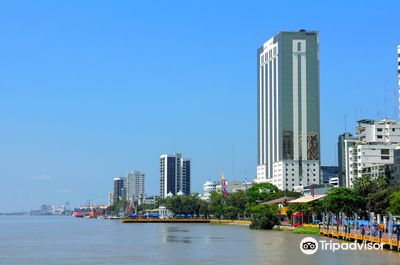 Malecon 2000