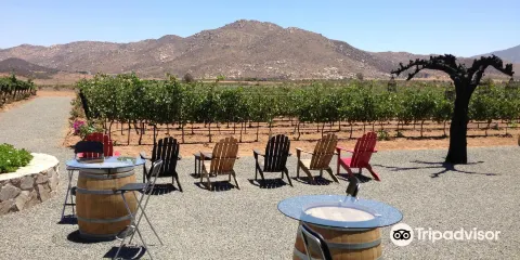 Trevista Vineyards