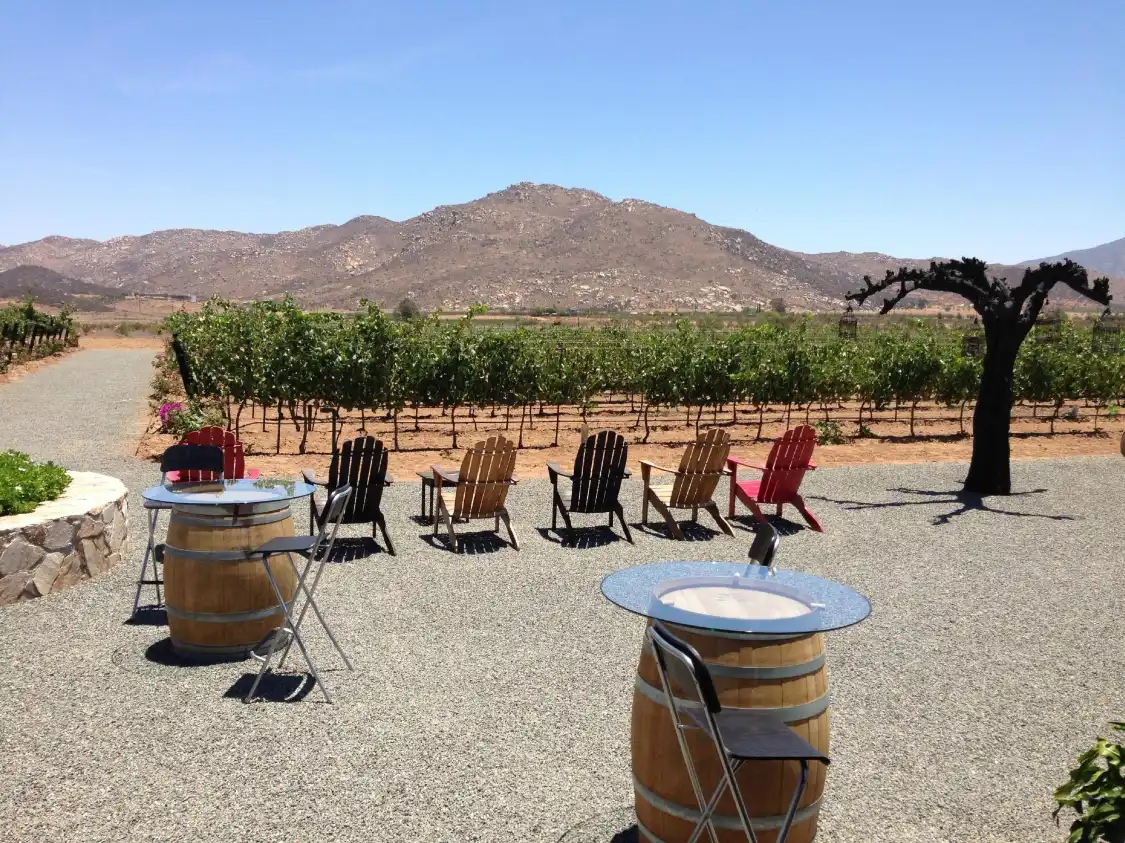 Hotels near TREVISTA Vineyards