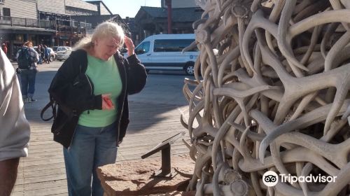 Antler Arches of Jackson