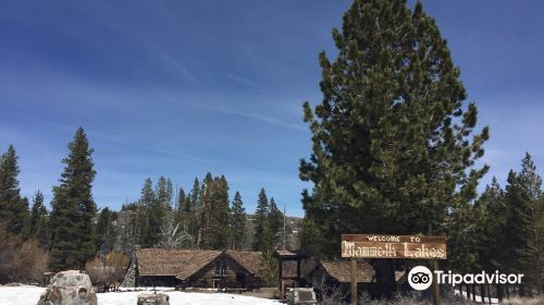 Mammoth Museum at the Hayden Cabin