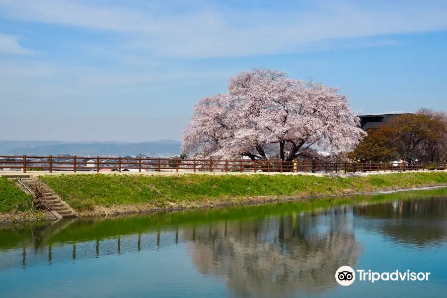 山の辺の道