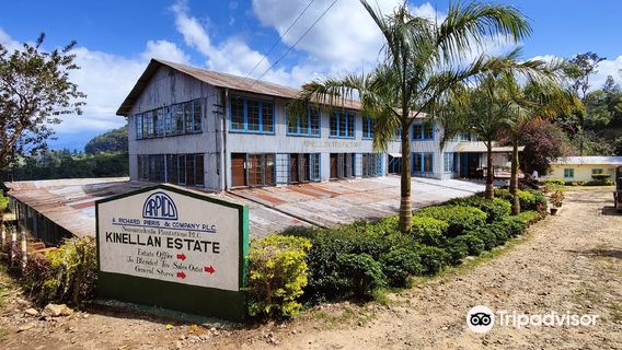 Kinellan Tea Factory