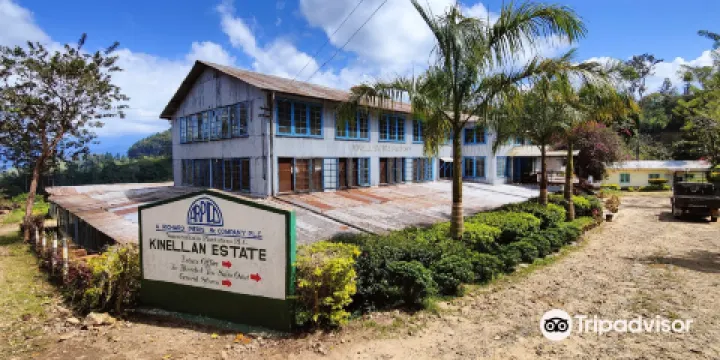 Kinellan Tea Factory