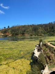 Salinas de Cahuil