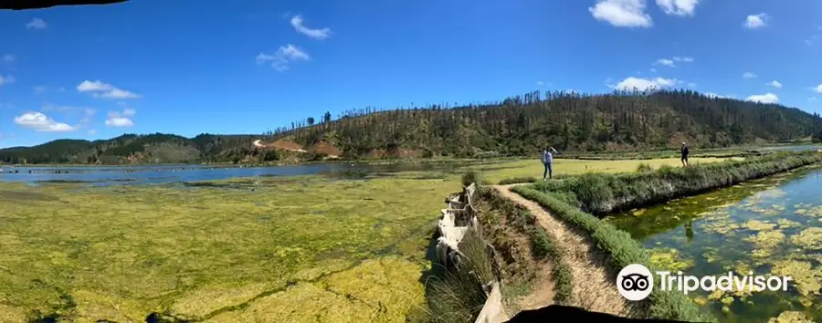 Salinas de Cahuil