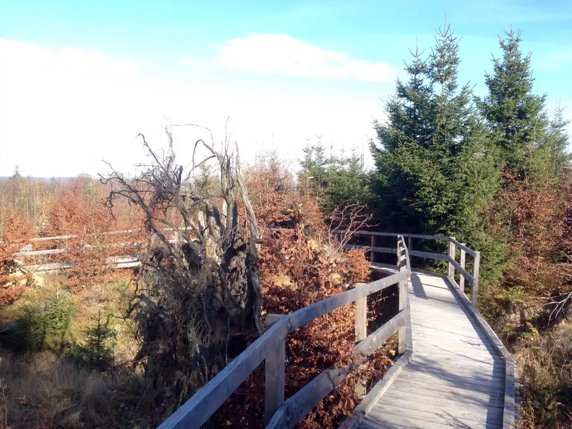 Kyrill-Pfad-Schanze附近的飯店