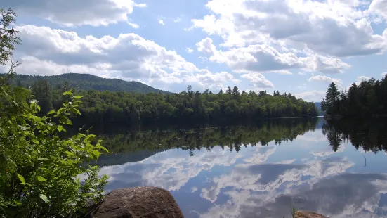 SUNY-ESF Adirondack Interpretive Center