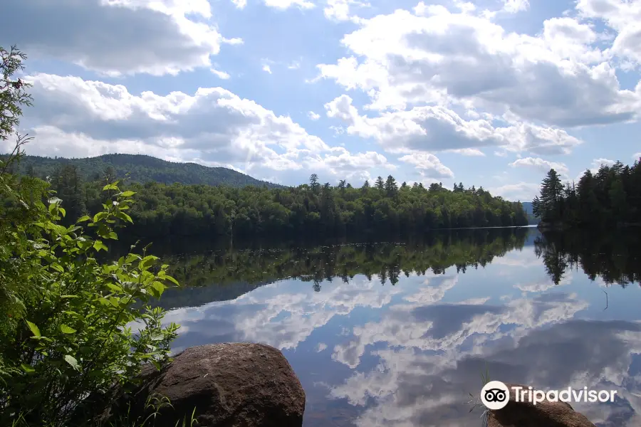 SUNY-ESF Adirondack Interpretive Center