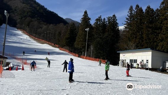 Комагане