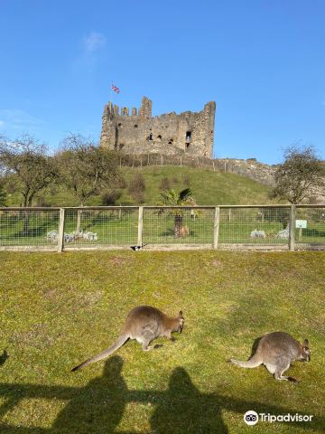 Dudley Zoo and Castle