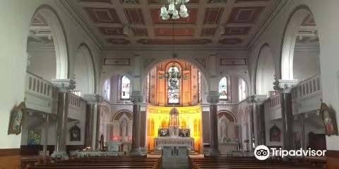 St. Patrick's Cathedral