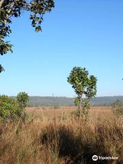 Thung Salaeng Luang National Park