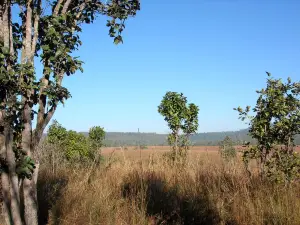 Thung Salaeng Luang National Park