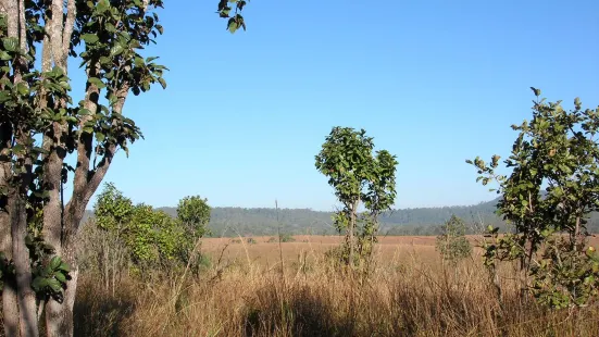 Thung Salaeng Luang National Park