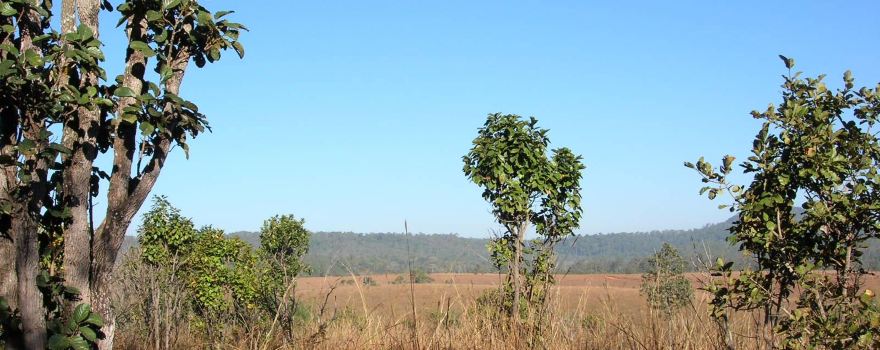 Thung Salaeng Luang National Park