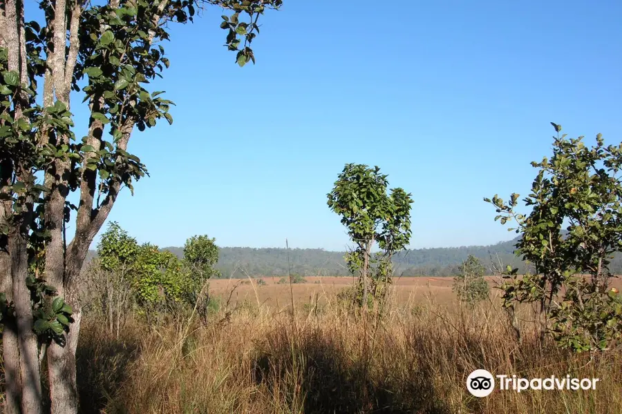 Thung Salaeng Luang National Park