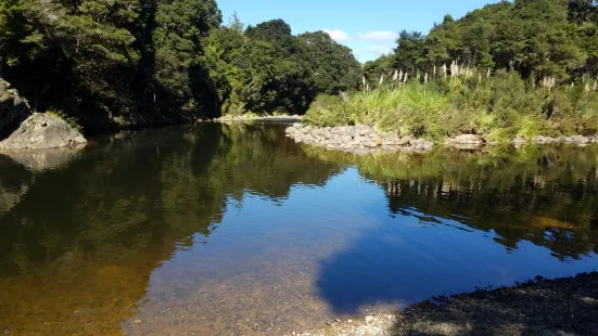 Department of Conservation - Kauaeranga Visitor Centre