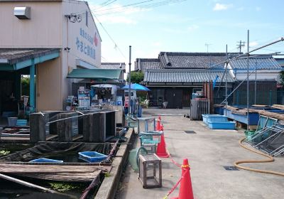 Koriyama Goldfish Museum