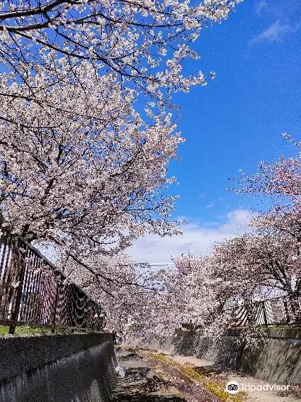 Kyugarugawa Ryokuchi Park