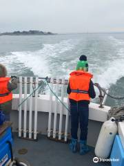 Sussex Sea Charters