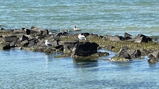 Cape Charles Beachfront