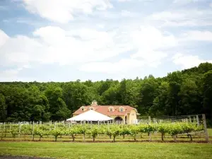 Paradise Hills Vineyard & Winery