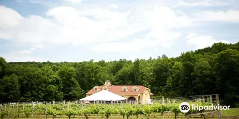 Paradise Hills Vineyard & Winery