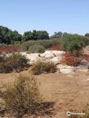 Ramona Grasslands Preserve