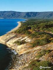 Great Barrier Reef Drive