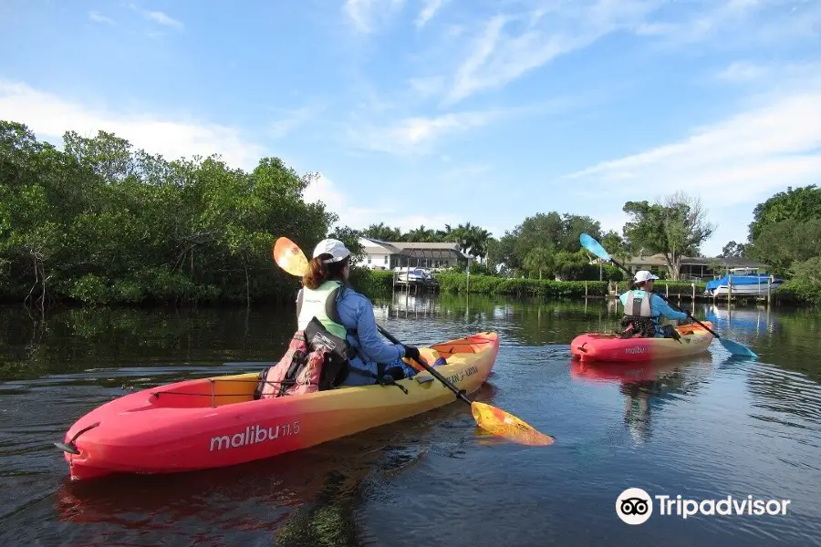 Kayak Eco Tours