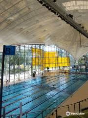 奧林匹克游泳館